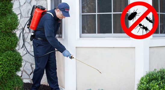 Yeşilhisar Dezenfeksiyon böcek ilaçlama ve haşere kontrolü — ilaclama-tr.com